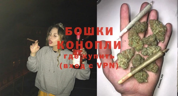 мдпв Богданович