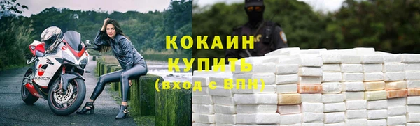 мдпв Богданович