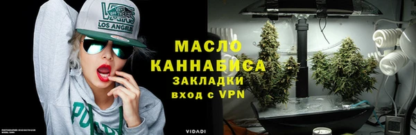 дживик Бронницы