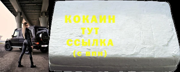 мдпв Богданович