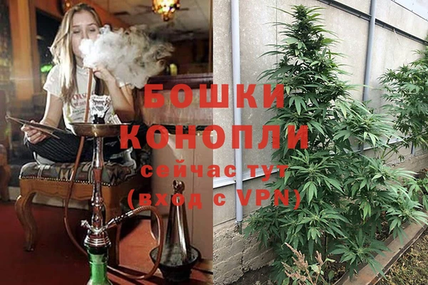 мдпв Богданович