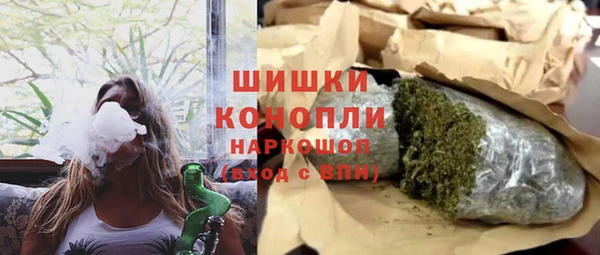 мдпв Богданович