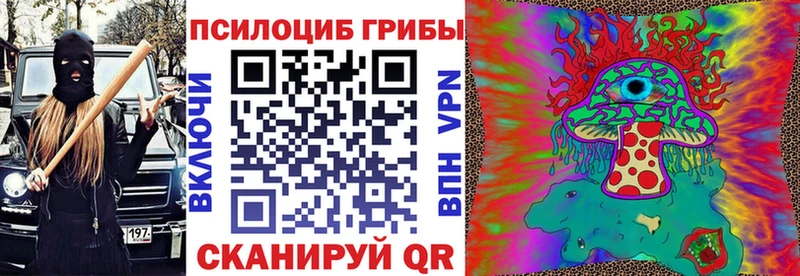 Псилоцибиновые грибы Psilocybe  Купить  Мценск 